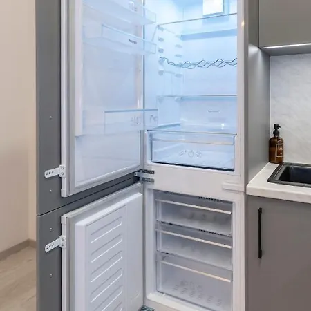 Cozy And Bright 公寓 里加